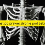 co jest po prawej stronie pod żebrami
