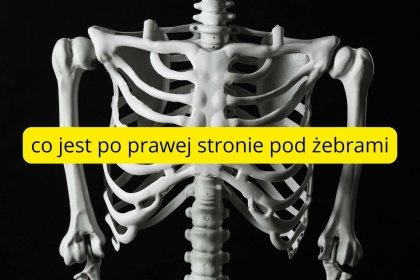 co jest po prawej stronie pod żebrami