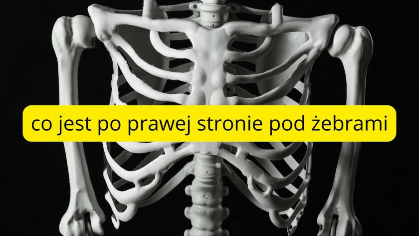 co jest po prawej stronie pod żebrami