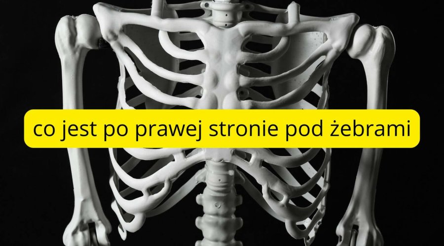 co jest po prawej stronie pod żebrami